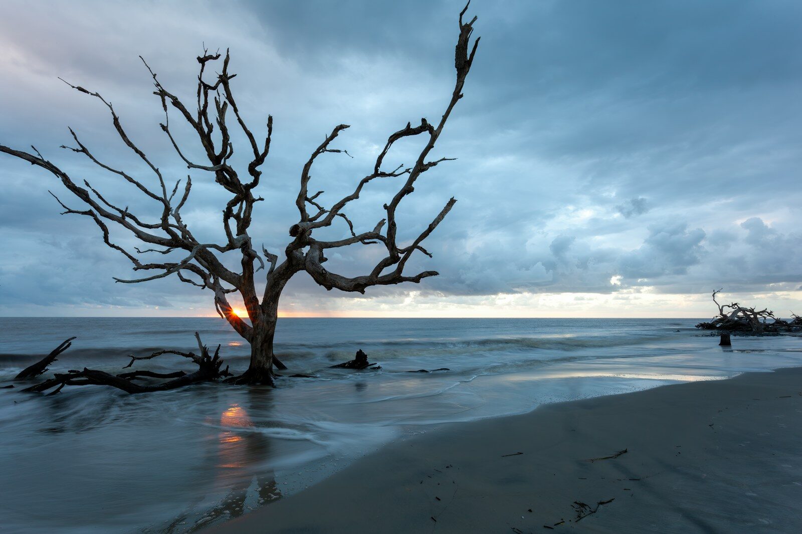 Driftwood on a beach at sunrise